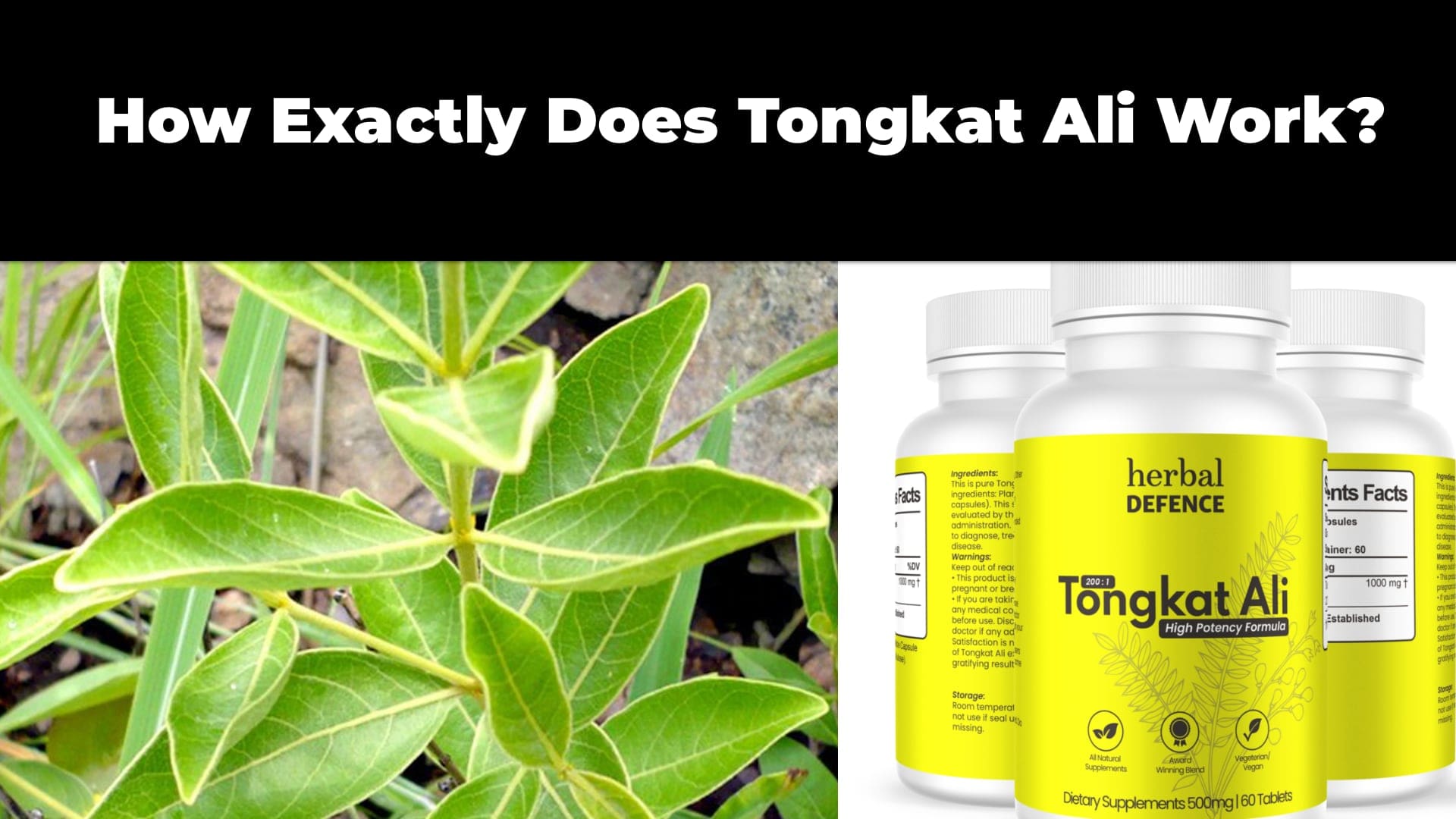 How Exactly Does Tongkat Ali Work?