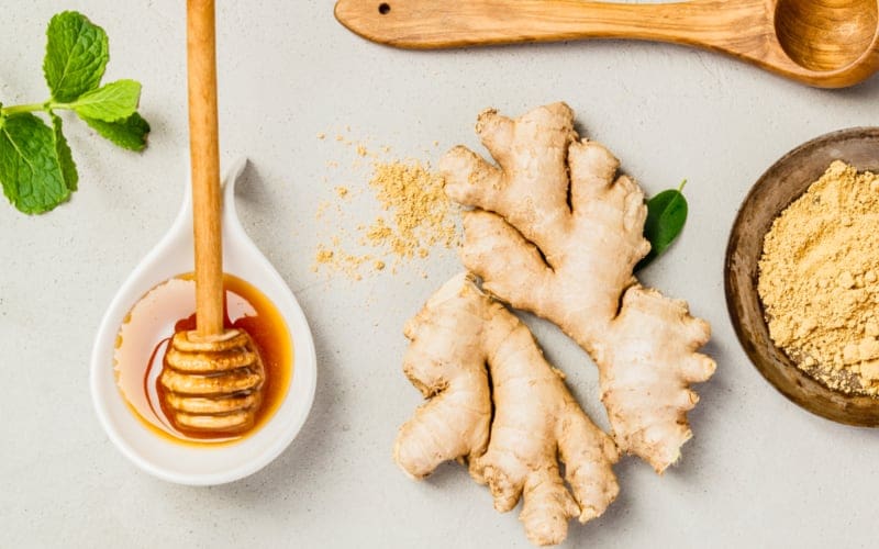 What is Tongkat Ali? Why Is It So Popular? 3 Traditional Southeast Asian Medicine