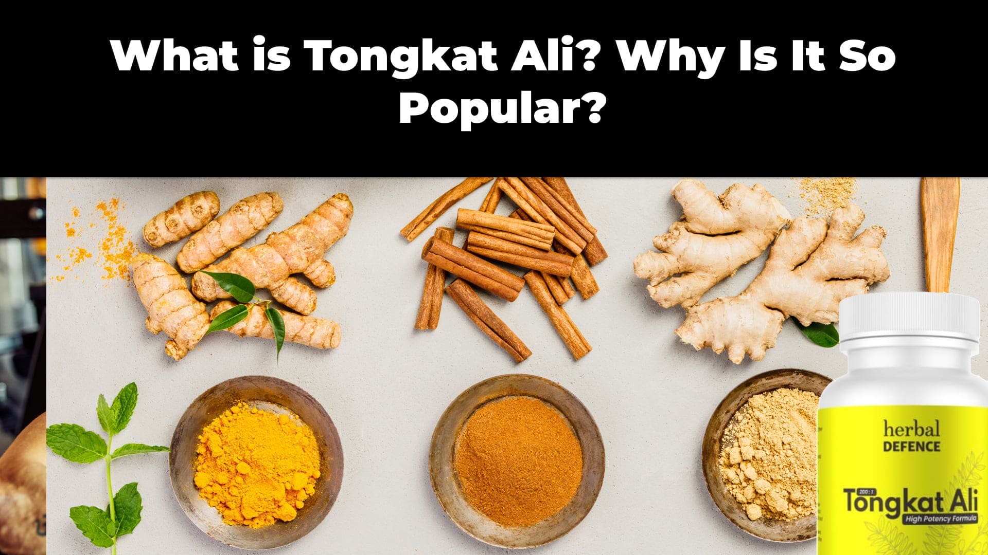 What is Tongkat Ali? Why Is It So Popular?
