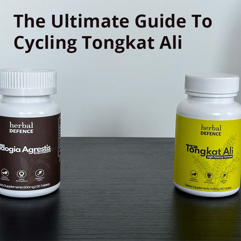 How Do You Cycle Dosage of Tongkat Ali? 1 Cycling Tongkat Ali Ultimate Guide Cover