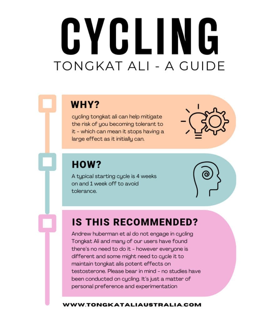 How Do You Cycle Dosage of Tongkat Ali? 2 Ultimate Tongkat ALi Cycling Guide Infographic Why and How To Cycle Tongkat Ali